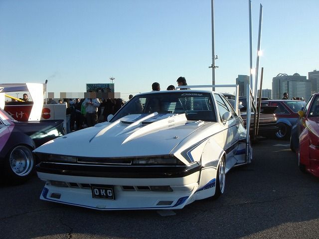 Zig Zag sharknose Soarer