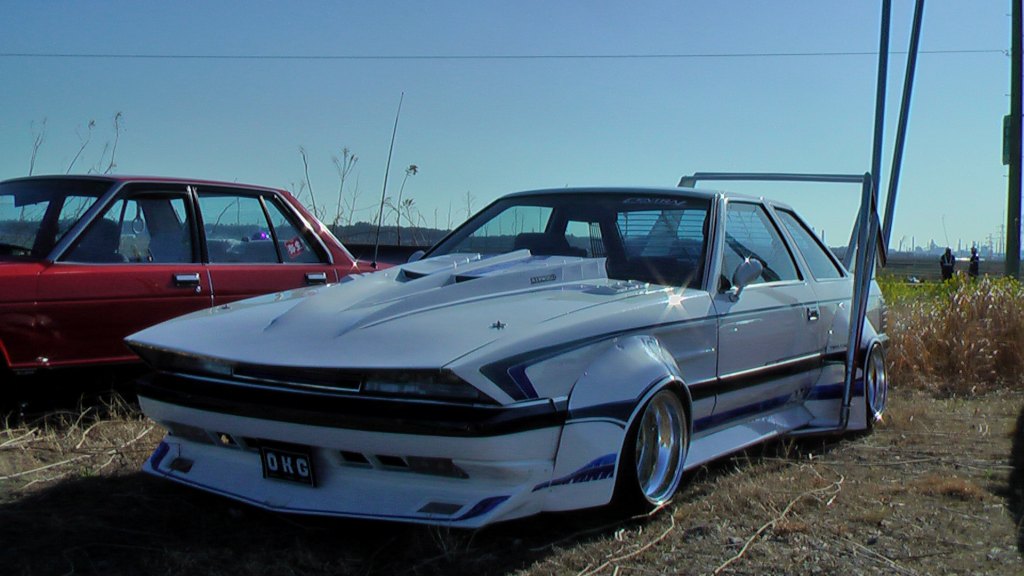 Zigzag sharknose Soarer